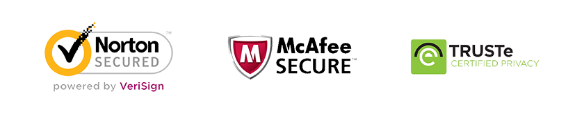 Il cardellino libro pdf